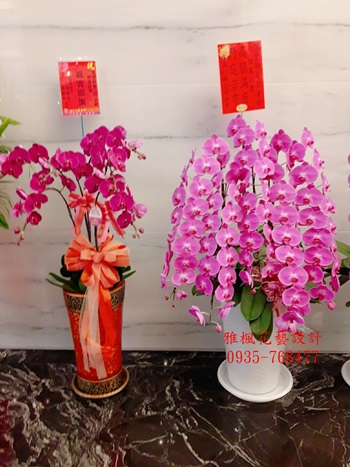 彰化縣二林鎮花店，朋友開幕祝賀蘭花彰化縣鹿港鎮花店