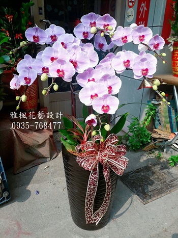 花壇花店台中市立殯儀館送蘭花台中西區，溪州花店公司同仁過世送蘭花草屯花坊_鹿港老街附近花店送花服務