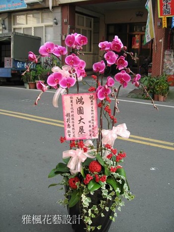 競選總部成立送蘭花推薦芬園鄉花店，伸港鄉花店，溪湖鎮花店