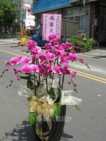 彰化市花店，蝴蝶蘭花免外送費埤頭鄉花店，鹿港鎮花店